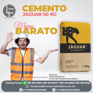 CEMENTO JAGUAR