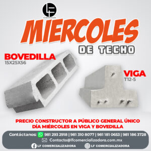 MIERCOLES VIGA BOVEDILLA